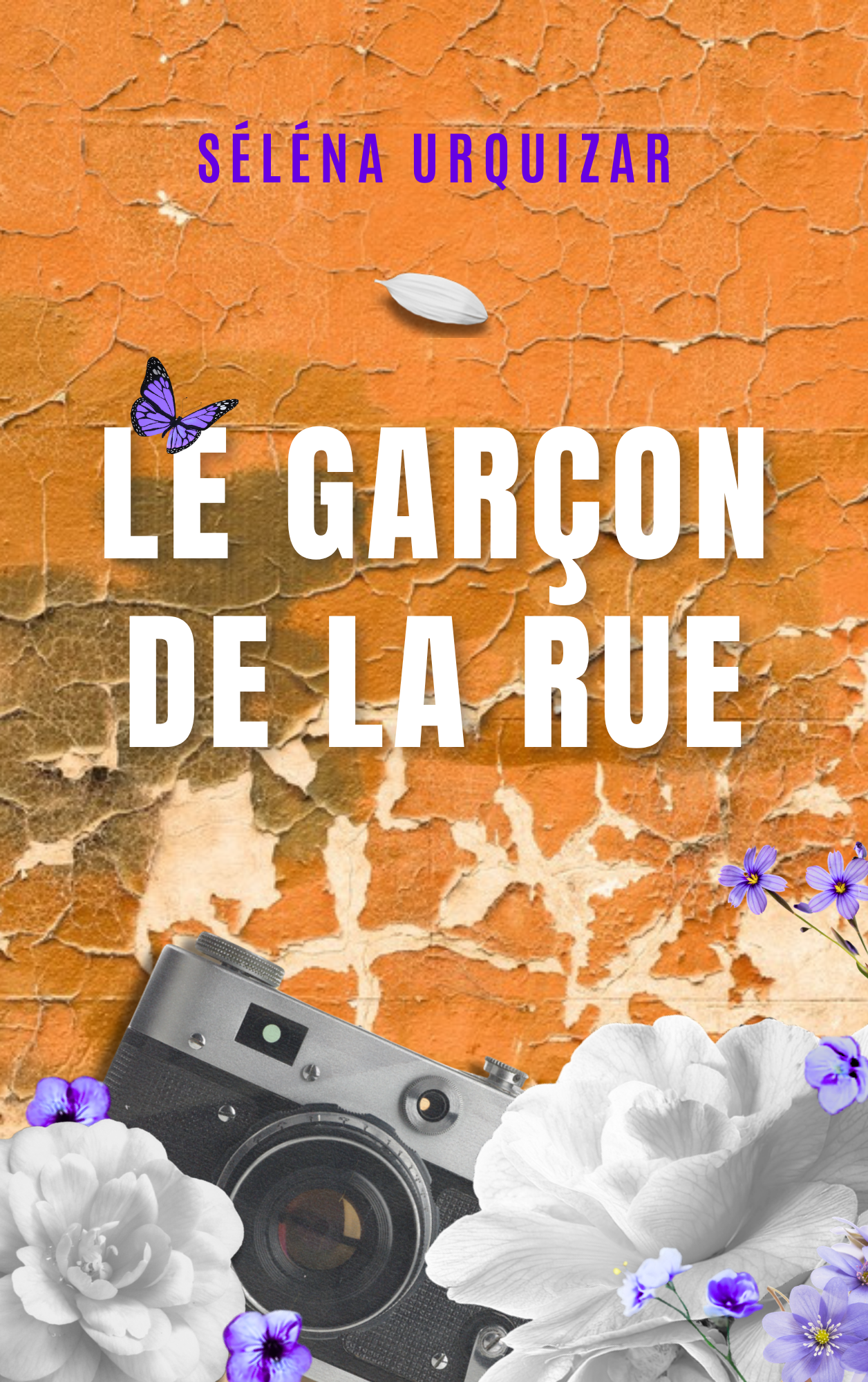 Couverture de la réédition de Le Garçon de la rue